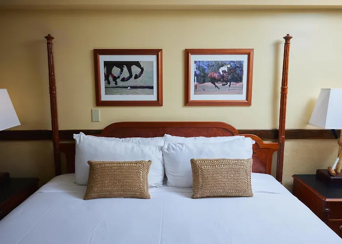 The Equus Hotel Honolulu